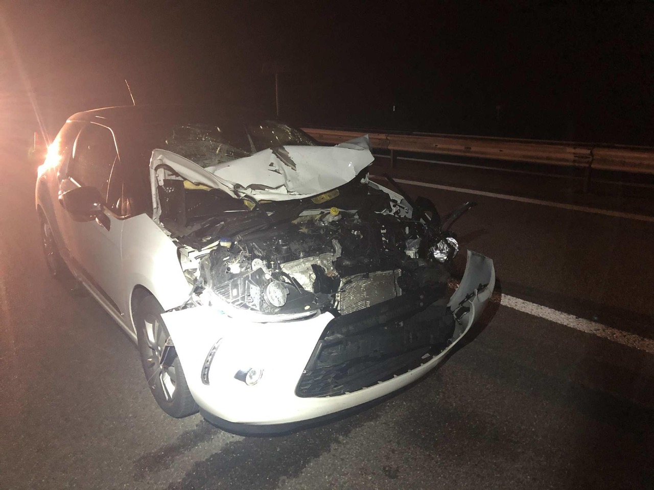 Accident avec gibier A12